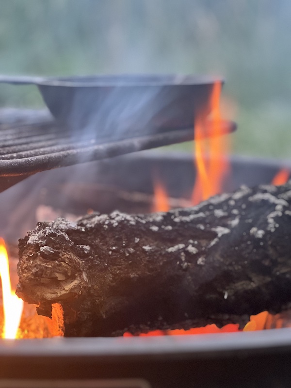 burning log on a grill