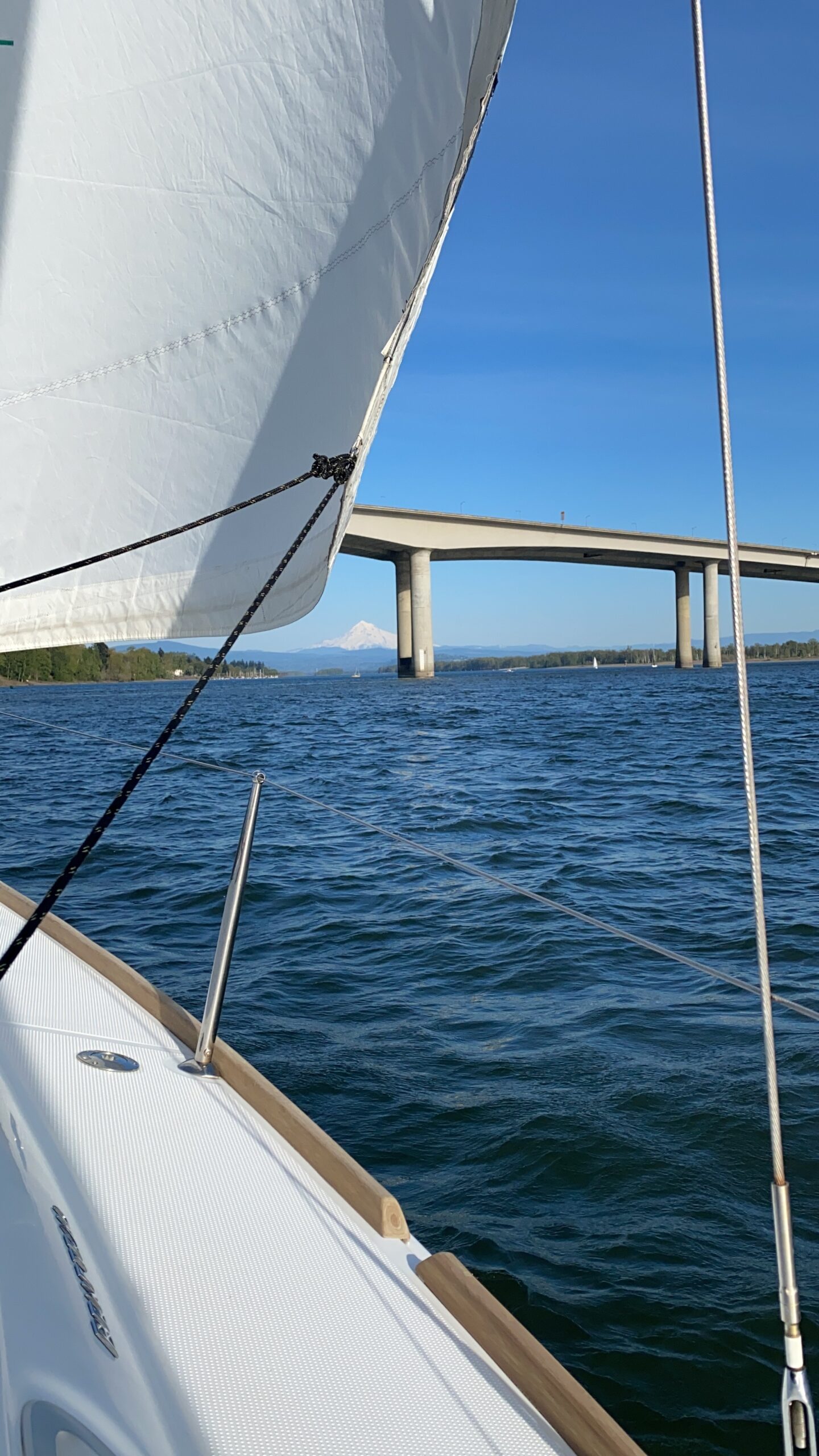 view of bridge from sailboat